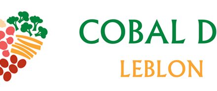 cobal do leblon
