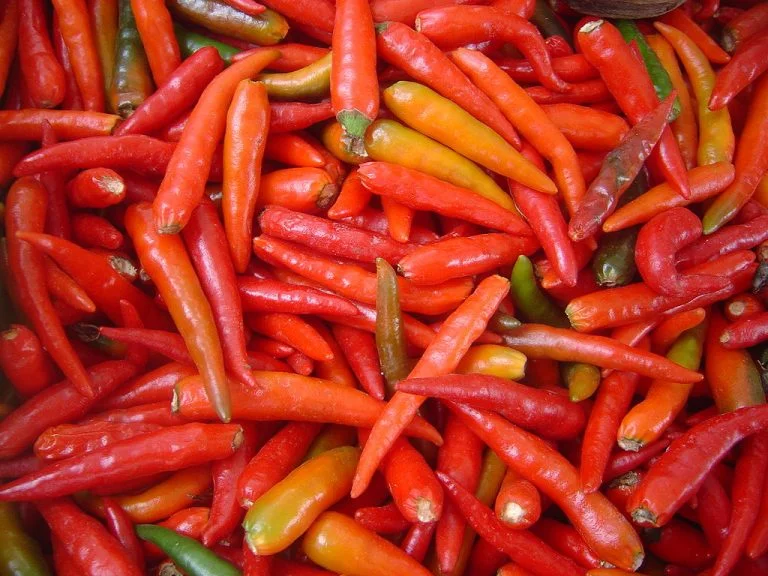 Conheça as Casas Pedro Leblon