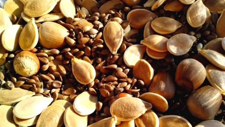 Conheça a Mundo Verde Leblon