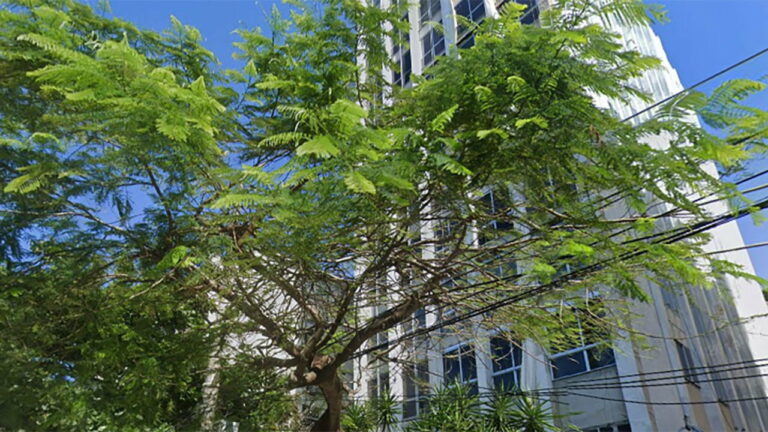 Conheça o Edifício Villa Lobos no Leblon