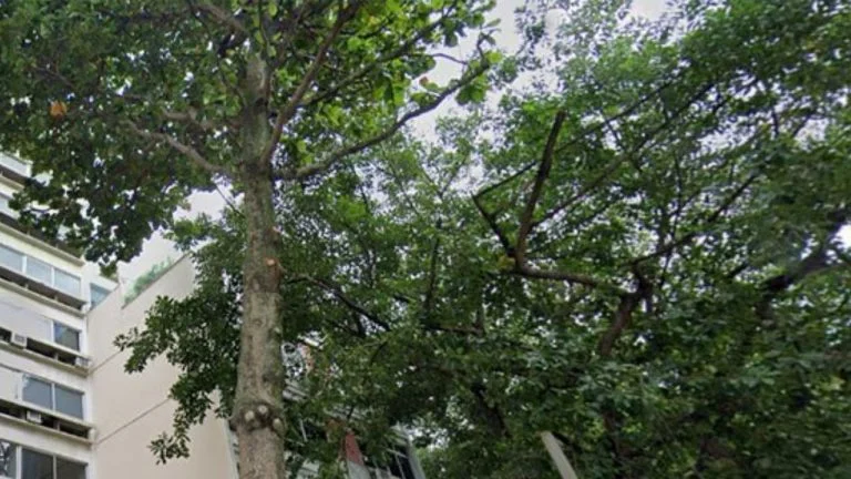 Descubra as vantagens de morar no Edifício Portal do Leblon 125