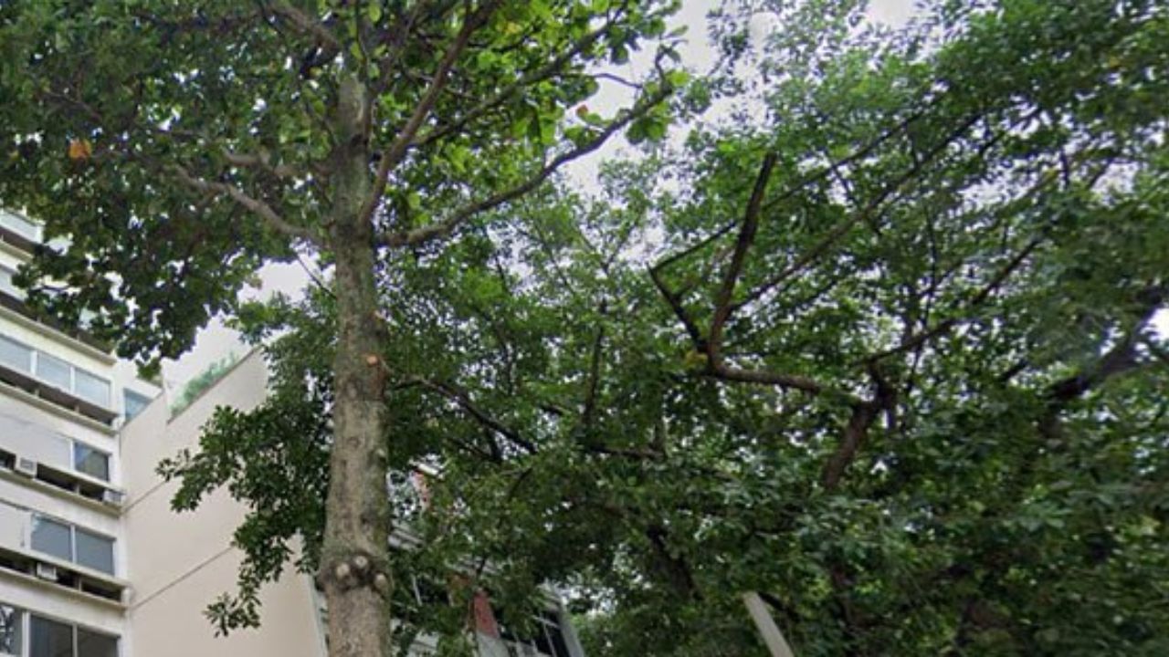 Edifício Portal do Leblon 125 Rio de Janeiro