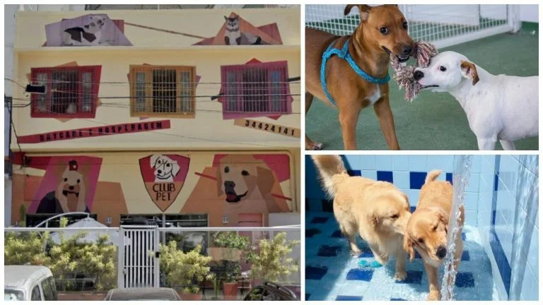 Club Pet Leblon: hotel para seu pet na Zona Sul