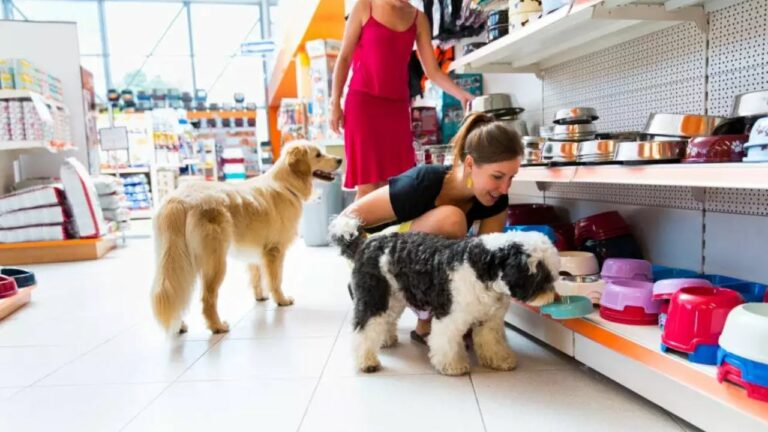 Pet Shop em Ipanema: conheça os top 7 do bairro carioca