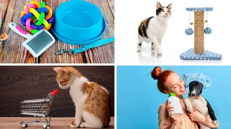 PetFun Ipanema – Produtos e serviços para animais domésticos