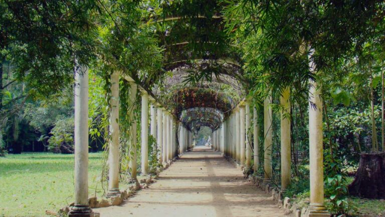 Vantagens de morar no Jardim Botânico RJ