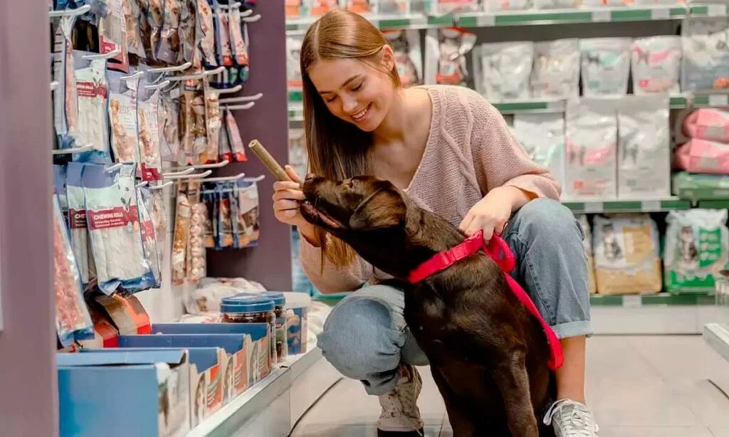 Dona e cão Pet Shop Copacabana Rio de Janeiro