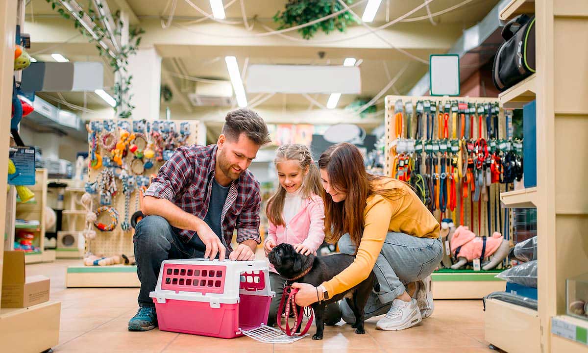 Pet Shop na Zona Sul: confira os melhores lugares