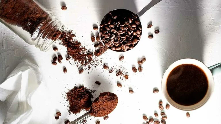 Cafeteria na Lagoa Rodrigo de Freitas e arredores