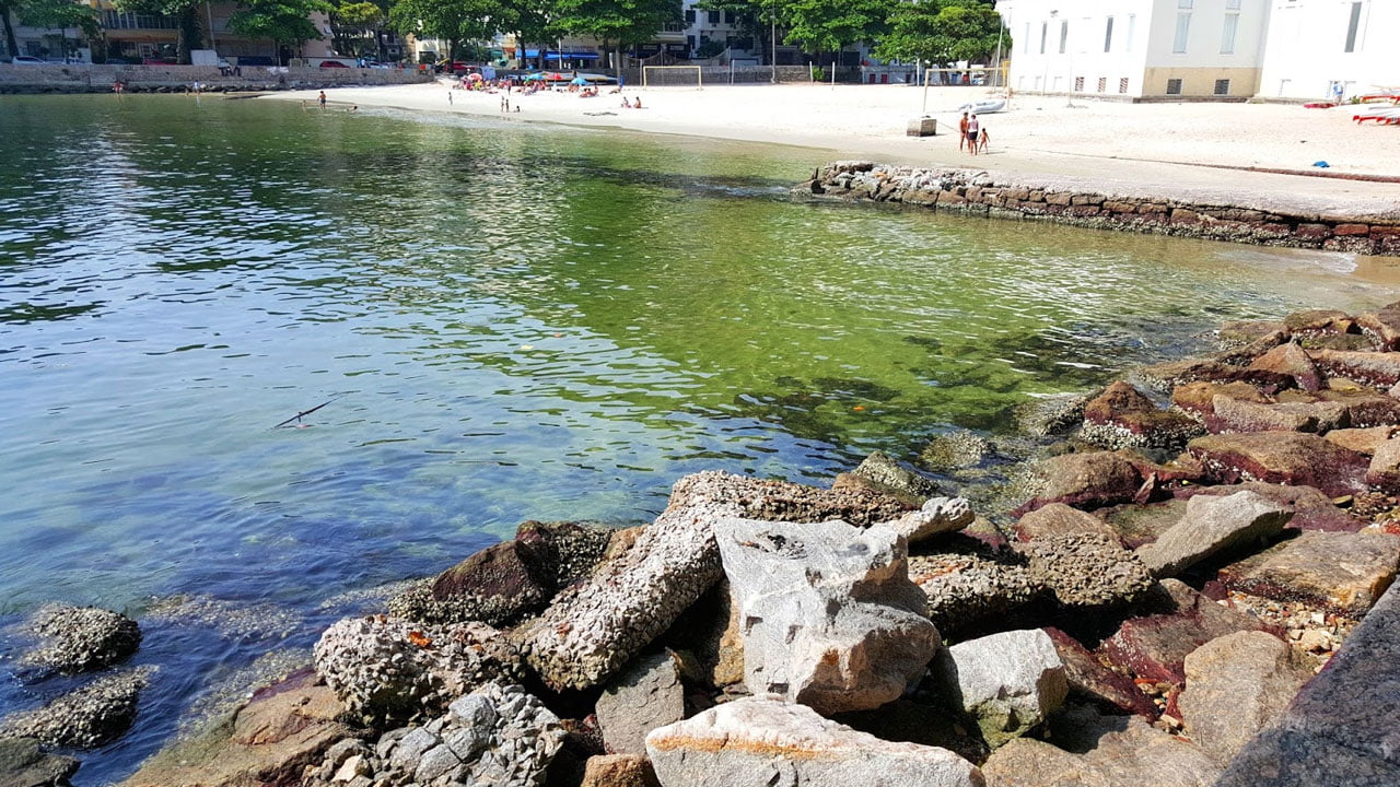 Murinho da Urca  Rio de Janeiro RJ