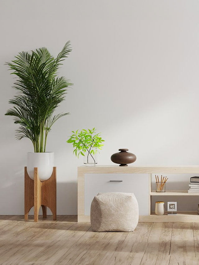 Como aplicar Feng Shui no apartamento