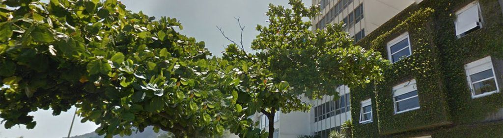 Edifício Delfim Moreira